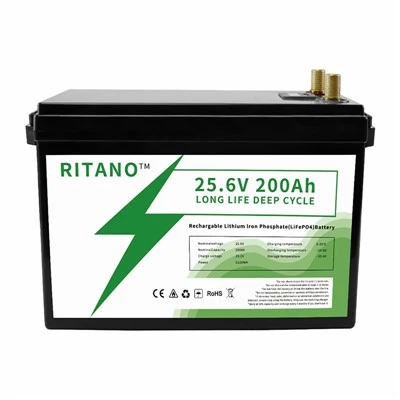 100ah 24v ライフポ4